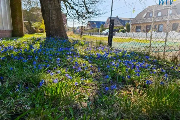 Garten Haus Kiebitzdelle-Leegde 16 Ferienhaus Müller
