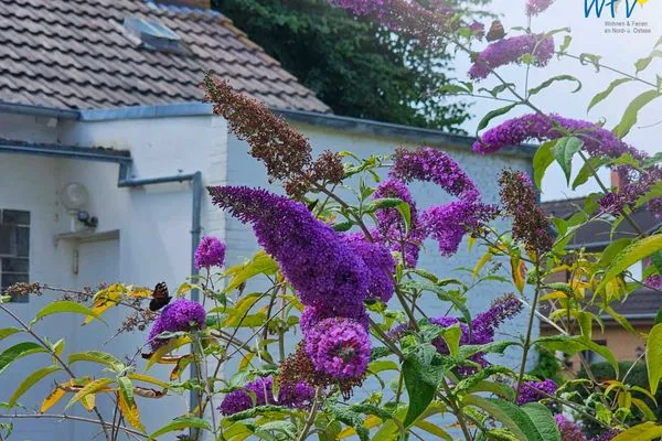 Gartenblick Haus Kiebitzdelle-Leegde 16 Ferienhaus Müller