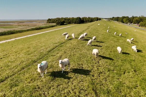   Ferienhaus  Havglück