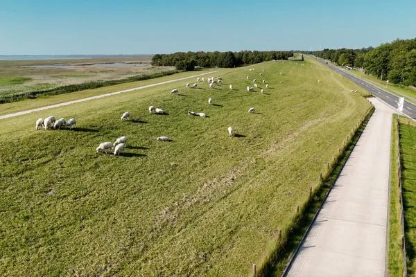   Ferienhaus  Havglück