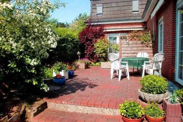 Terrasse  Austernfischer