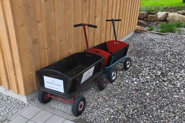 Bollerwagen Gepäcktransport  Allgäuglück - Feriendorf Via Claudia Haus 74