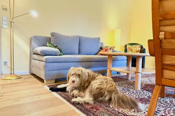  Ferienwohnung Claudis Seeland Kressbronn - Wohnzimmer