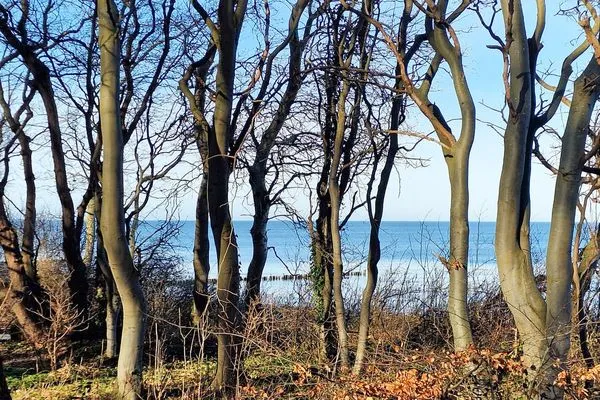 Strand  Residenz unter den Linden Ferienwohnung 29