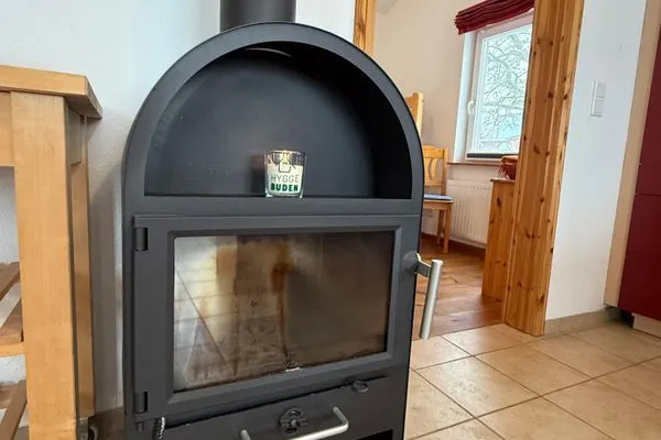 Kamin-/Ofen  Lachmöwe