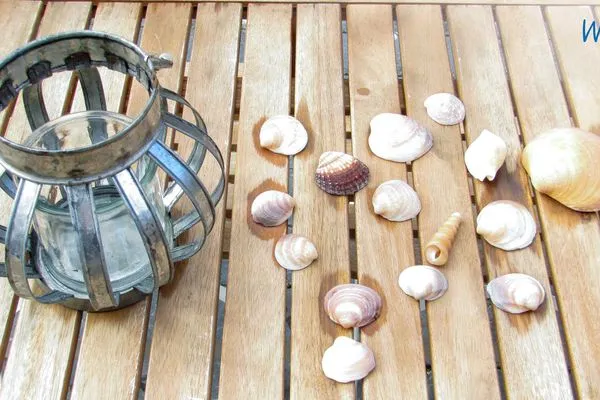 Dekoratives Detail Ferienhaus Melkerpad 28 Ferienwohnung Langeoogzeit