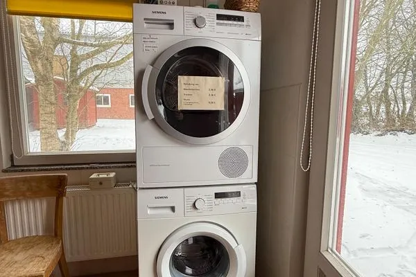 Dekoratives Detail  Lachmöwe