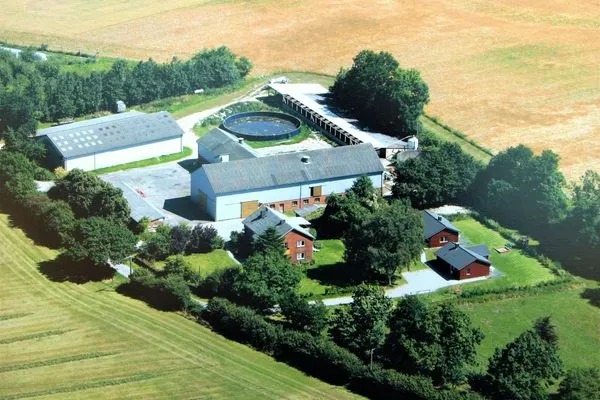 Vogelperspektive  Seeschwalbe