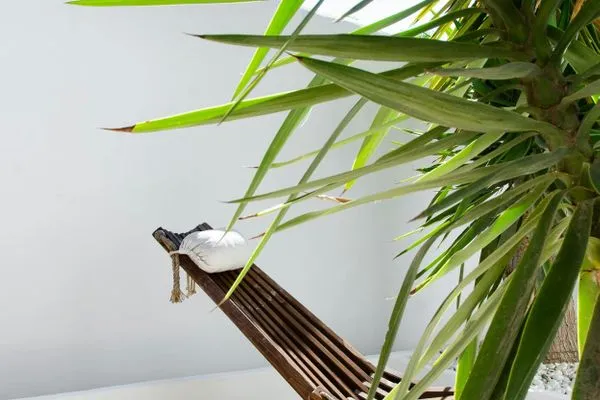 Terrasse  Villa Vadella II