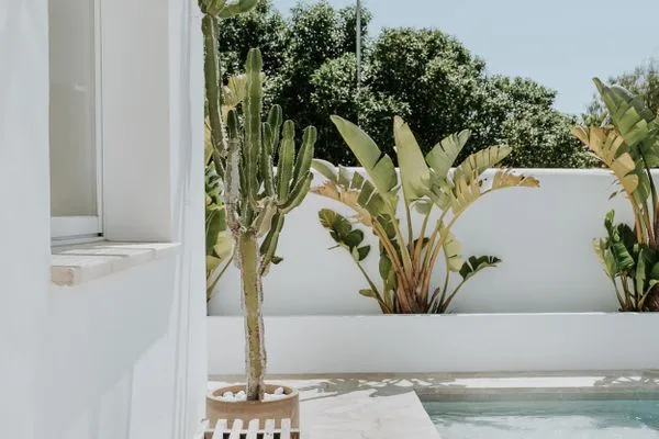 Pool  Villa Vadella II