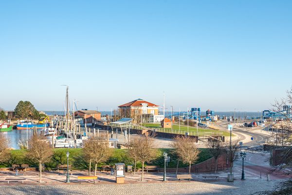 Hellinghaus Muschelsucher  - 