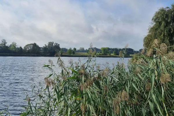   Ferienhaus direkt am See