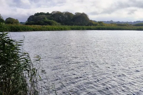   Ferienhaus direkt am See
