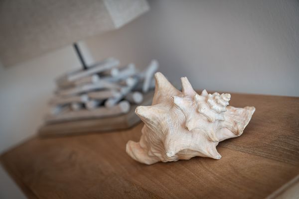  Haus Strandkoje Ording - Dekoratives Detail