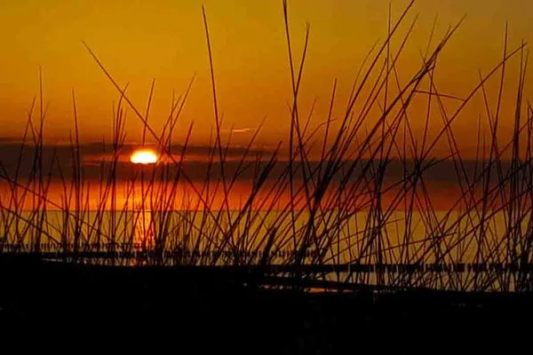 Landschaft  Am Weststrand Ferienwohnung 6