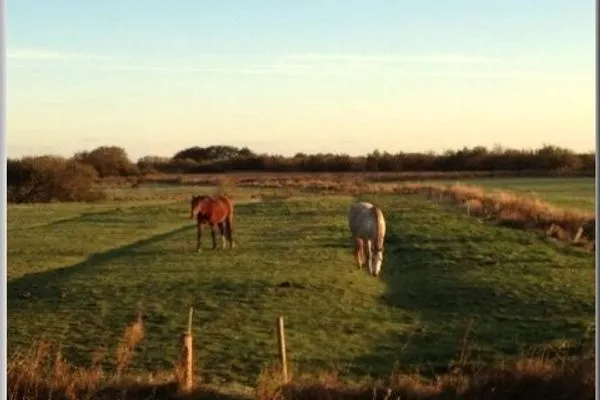   Wrixum - Herrenhof Wohnung Gapp