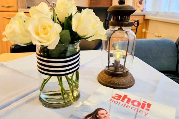  Fientjebloem Norderney - Dekoratives Detail