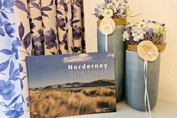  Fientjebloem Norderney - Dekoratives Detail