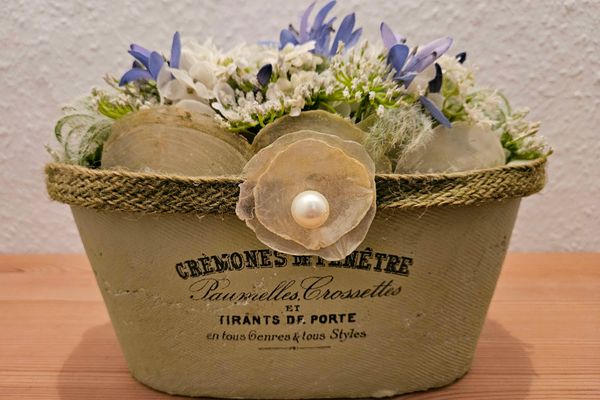  Fientjebloem Norderney - Dekoratives Detail