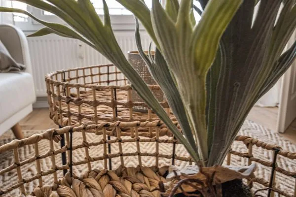 Dekoratives Detail  Ferienwohnung Blick auf die Eckernförder Bucht