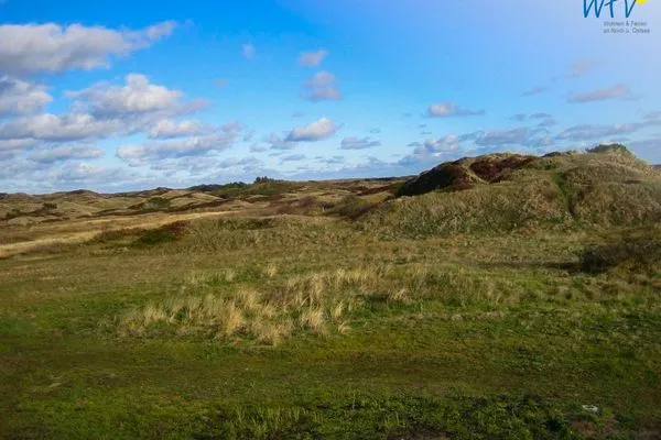 Landschaft Haus Dünenblick Ferienwohnung 1