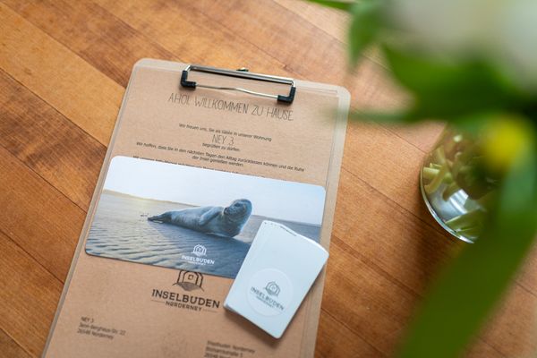  NEY 3 Norderney-Stadt - Dekoratives Detail