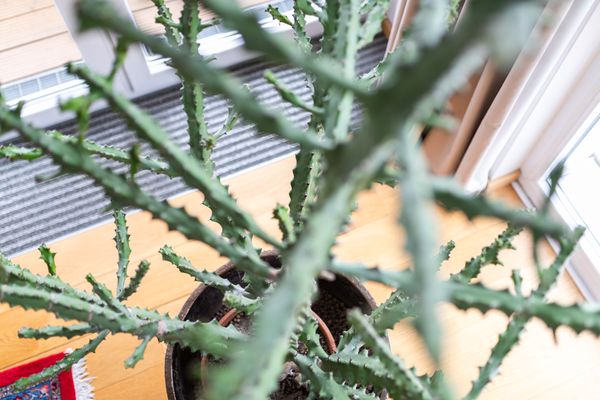  NEY 3 Norderney-Stadt - Dekoratives Detail