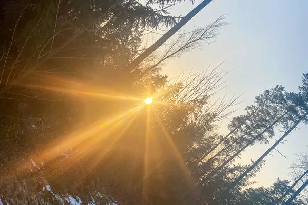 Scenery  Wohnperle Bauernhaus Meusegast Dresden Sächsische Schweiz