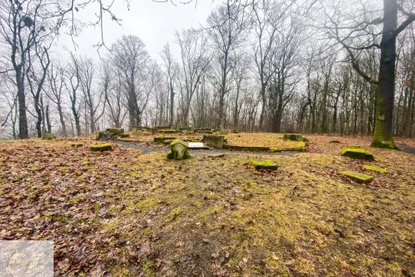 Scenery  Wohnperle Bauernhaus Meusegast Dresden Sächsische Schweiz