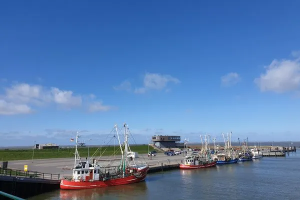 Landschaft  Ferienhaus Seemöwennest