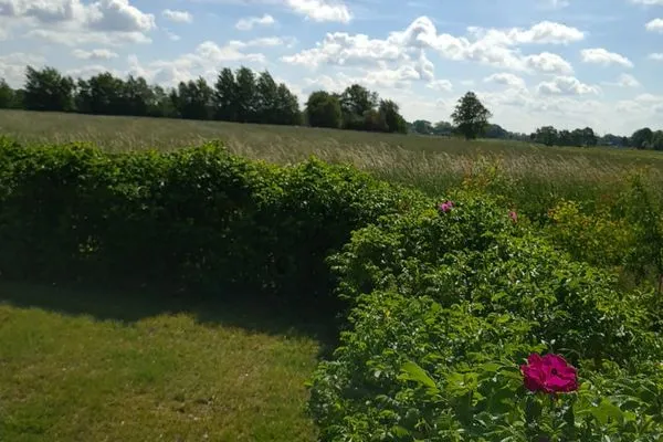   Ferienhaus  JadeHuus