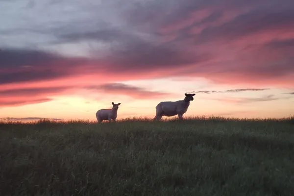   Ferienhaus  JadeHuus