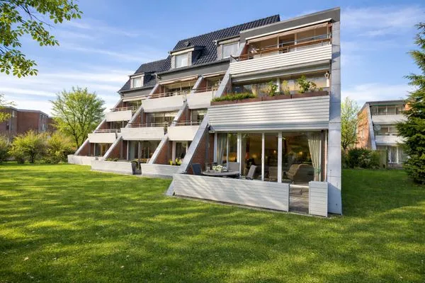 Hauptansicht  Silbermöwe