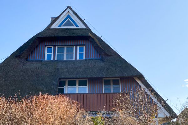  BLAUSAND im Malergarten Ahrenshoop - Hauptansicht