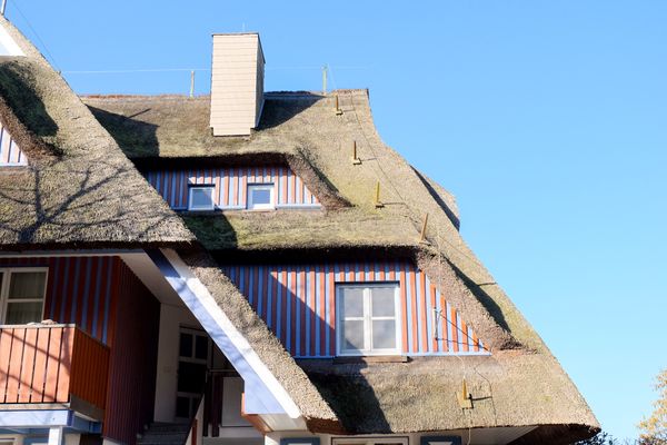 BLAUSAND im Malergarten Ahrenshoop - Hauptansicht