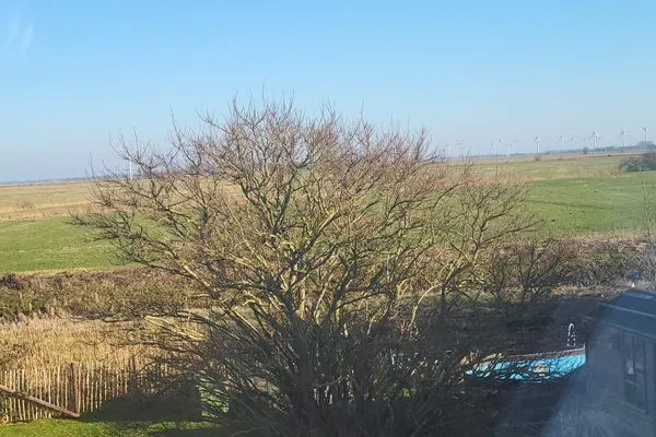   Ferienhaus Dinas Huus