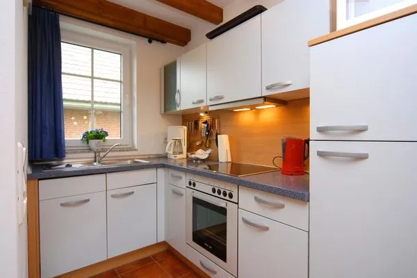 Strandmuschel-5  Strandmuschel