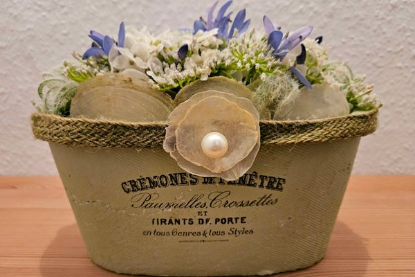  Fientjebloem Norderney - Dekoratives Detail