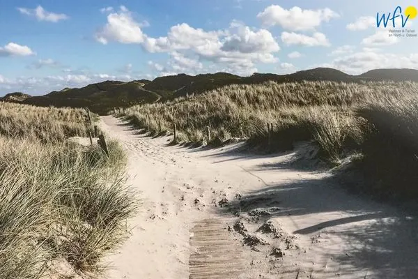 Blick in die Dünen Haus Dünenblick Ferienwohnung 2