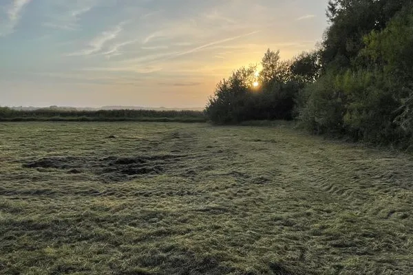 Landschaft  Alte Wassermühle Ganzes Haus