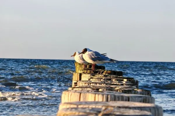 Strand  Haus Wellenreiter