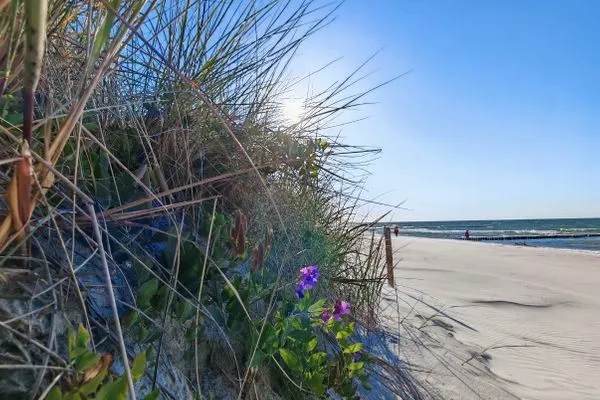 Strand  Haus Wellenreiter