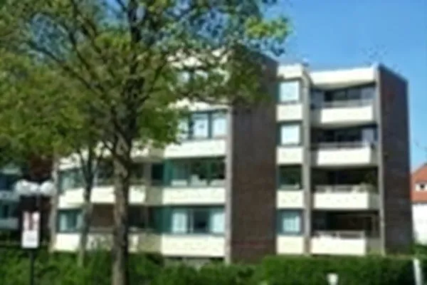 Hauptansicht  Strandmohn