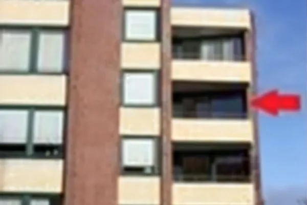 Hauptansicht  Strandmohn