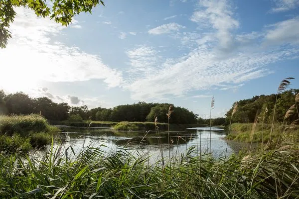   Apartment Kranichsruh 6