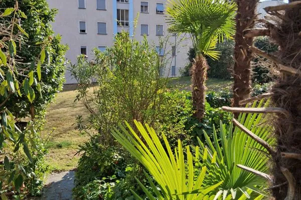 Scenery  Onyx - 1.5 Zimmer