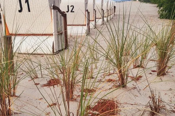 wohnungseigener Strandkorb April bis Oktober 26  Bernsteinquartier, Whg. 04.40 "Küstenzauber"