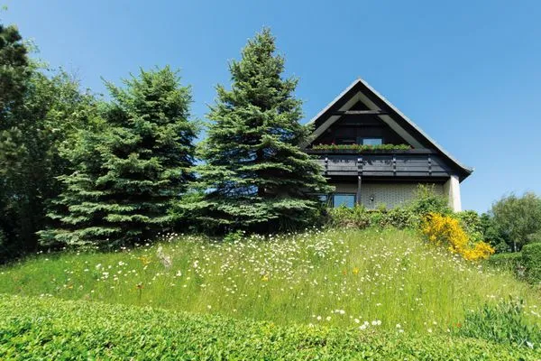 Ostansicht Haus Lösch Haus Lösch Whg. 01