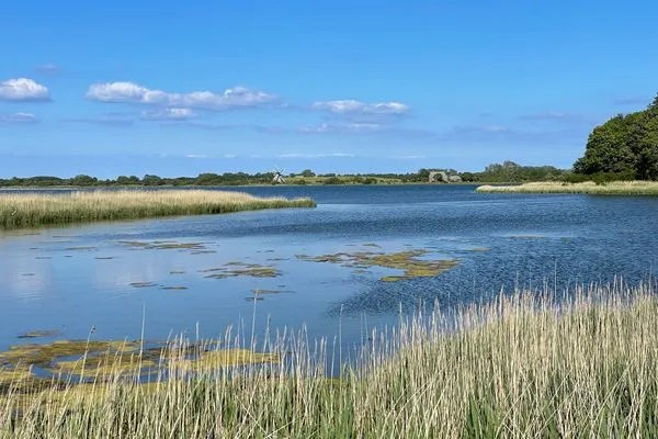 Landschaft  Grüne Wiese