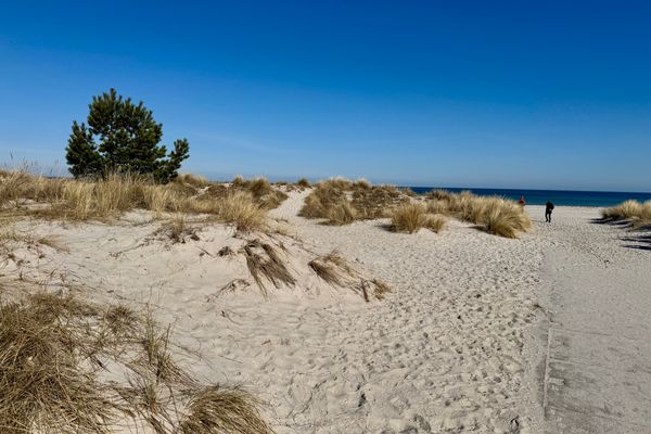  "Waldresidenz", App. 02 Ostseebad Prerow - 